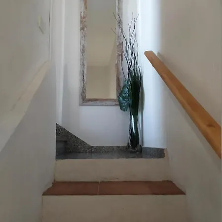 Atardeceres Mas Bellos Del *