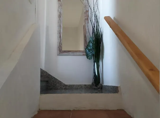 Atardeceres Mas Bellos Del *