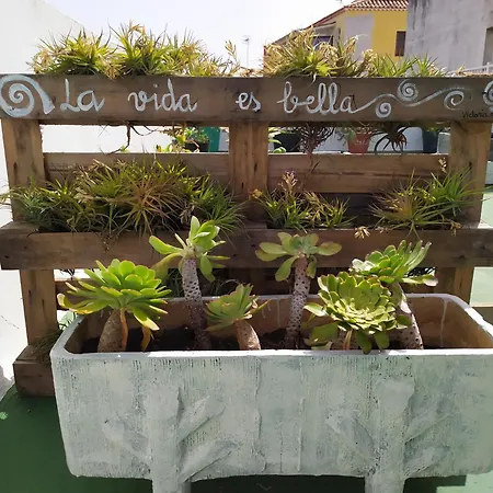 Atardeceres Mas Bellos Del Appartement *